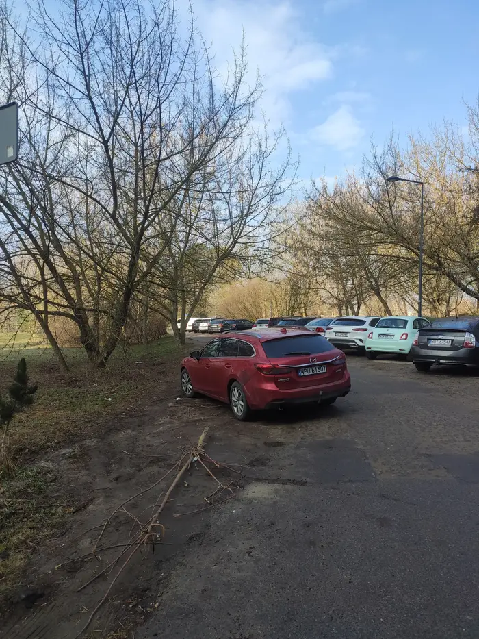 Parkowanie na zieleni