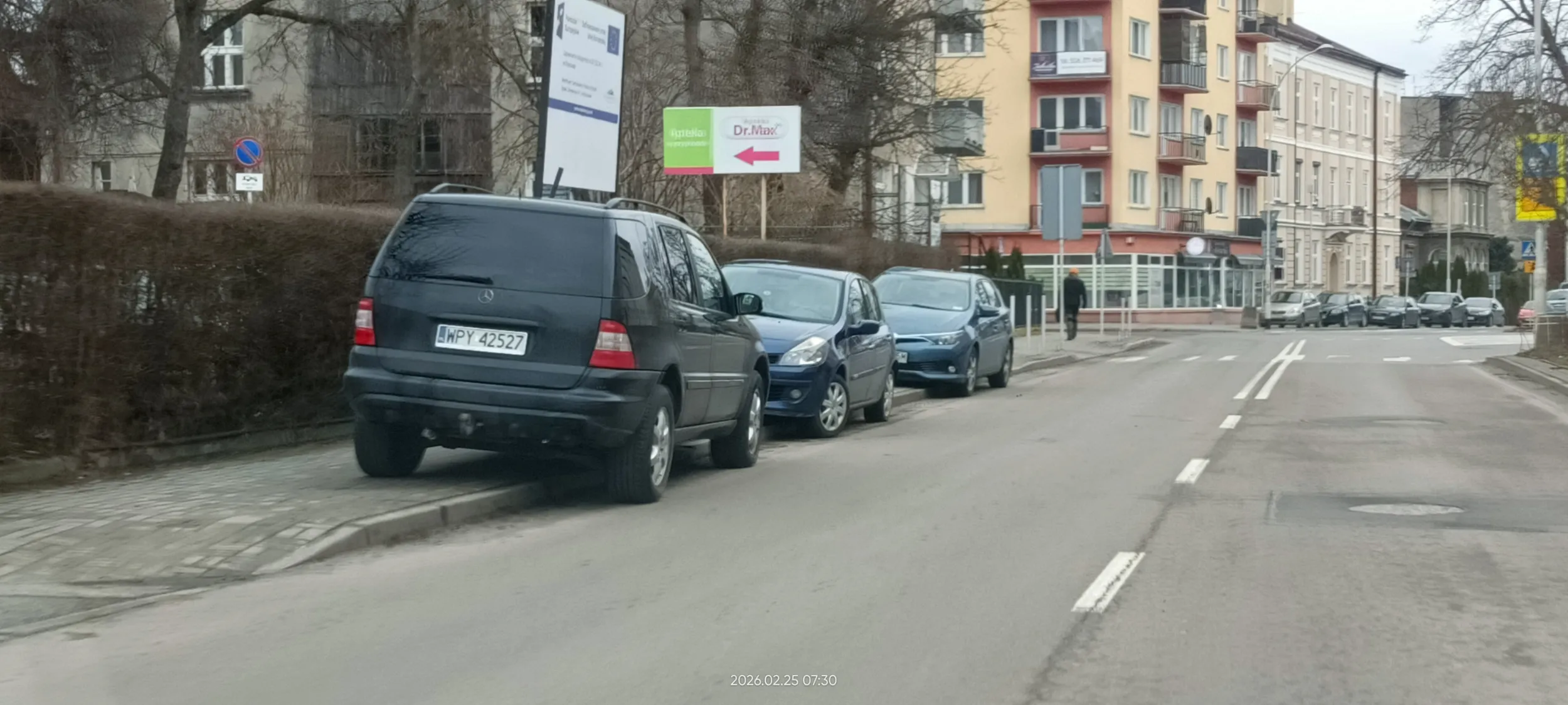 Święta krowa chodnikowa.