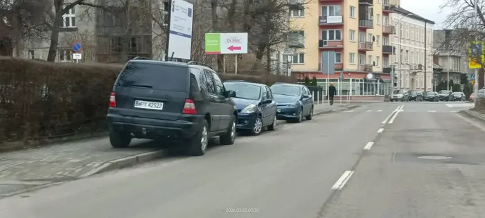 Święta krowa chodnikowa.