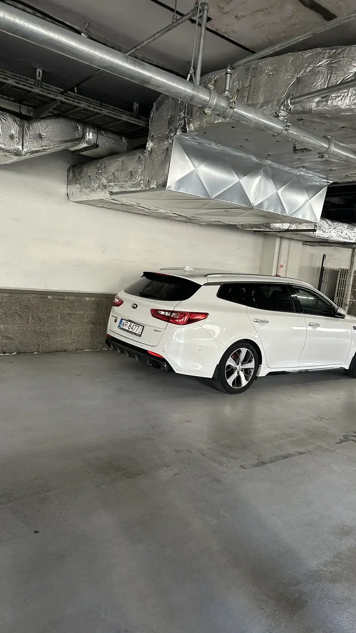 Nawet w wielkiej galerii handlowej gamoń nie umie zaparkować samochodu na miejscu parkingowym tylko na drodze