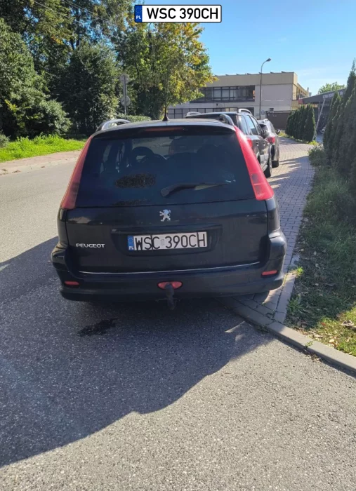 Pięknie od tyłu to wygląda