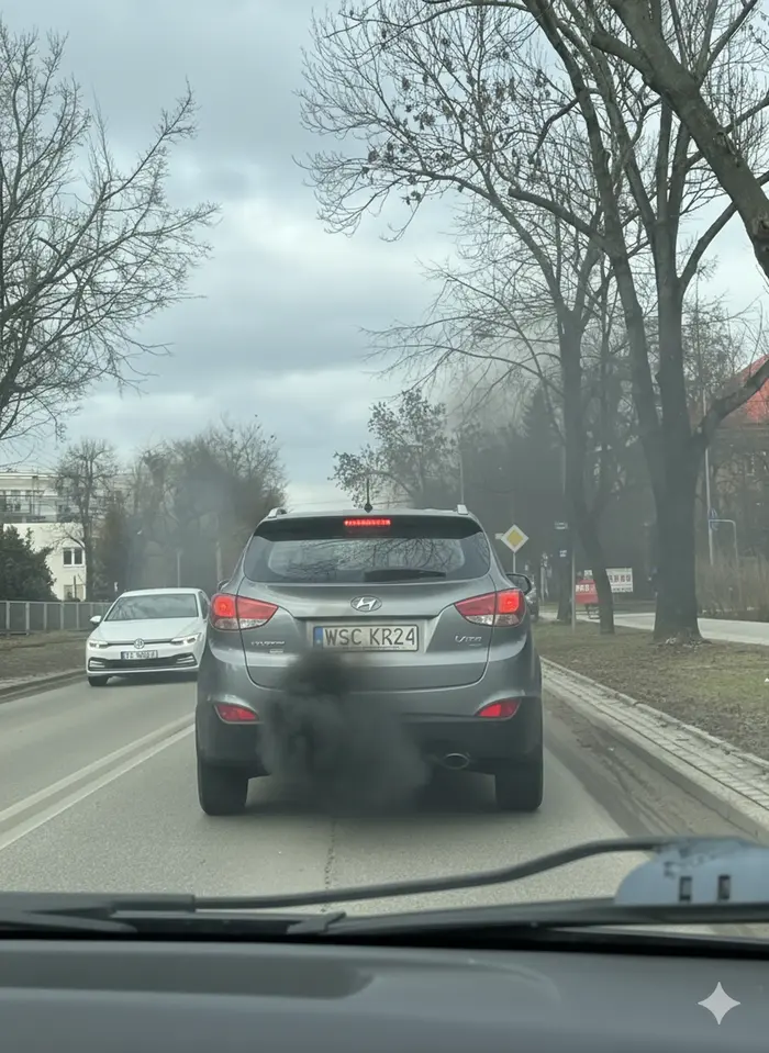 Nie to że kierowca nie przepuszcza pieszych na pasach, to jeszcze zanieczyszcza powietrze… Takim powinno zostać zabrane prawo jazdy.