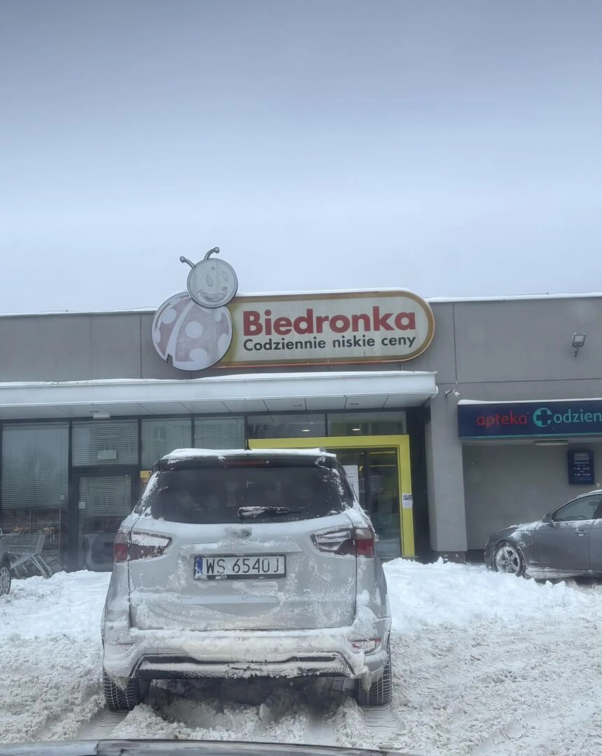 Parkowanie na środku parkingu poziom expert
