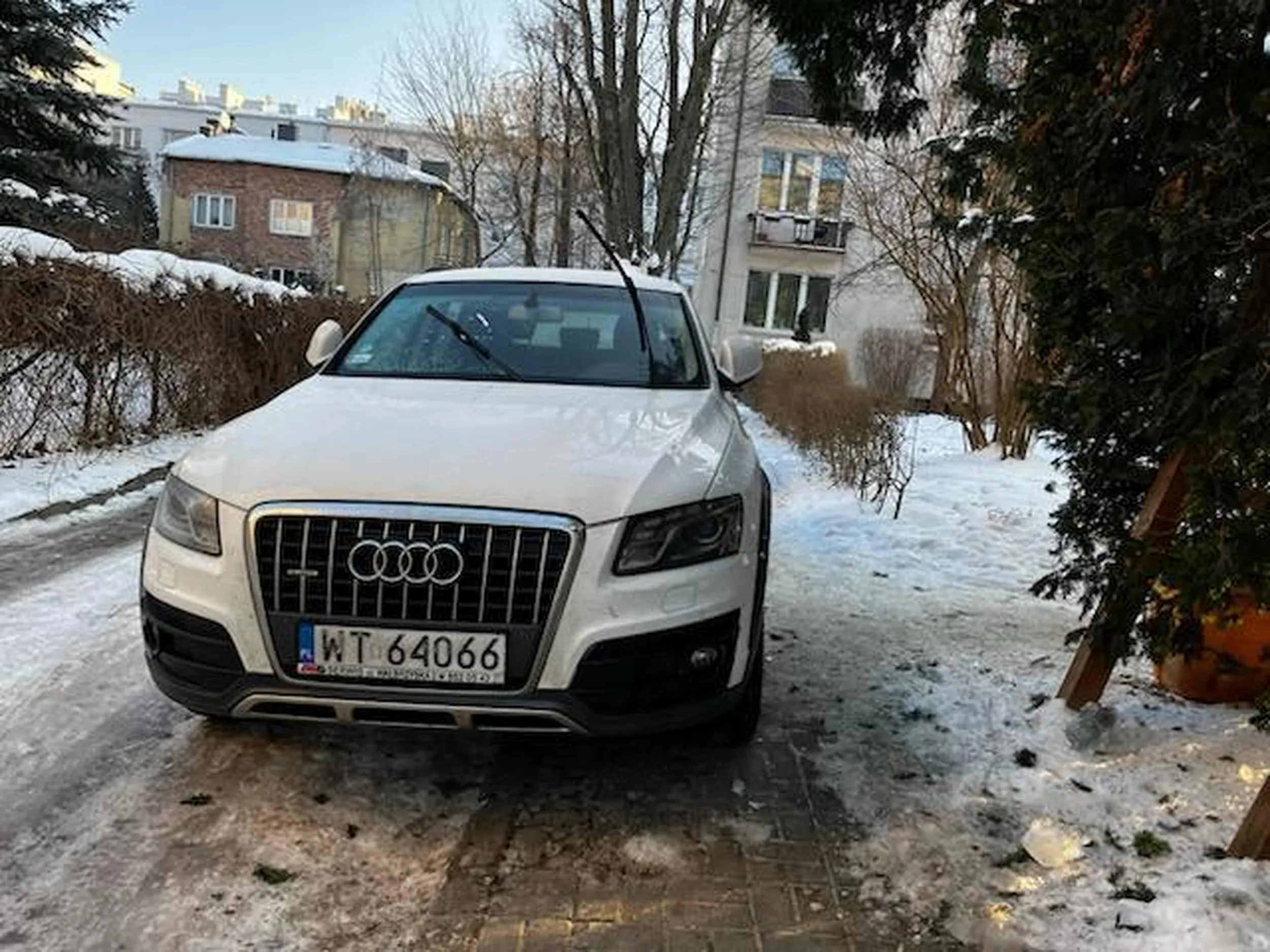 Dziś padło na mnie spotkać tego zawodnika. Zimno ślisko, ale oczywiście na chodniku nie da się przejść bo jegomość stanął. Obok były wolne miejsca do parkowania.