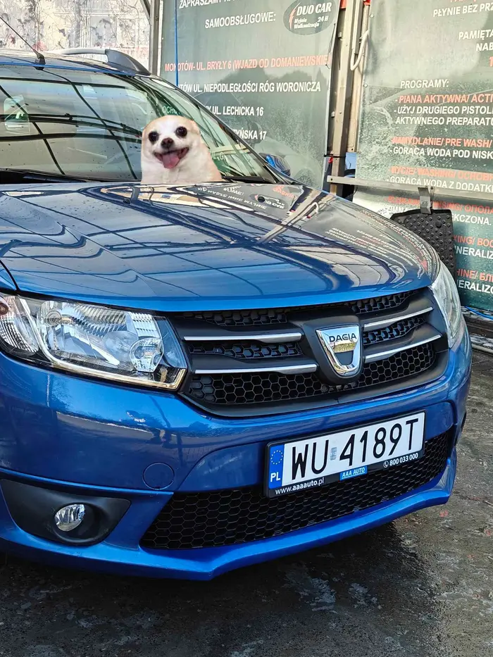 Jeżdżący ziemniak prawym pasem 30 na godzinę.