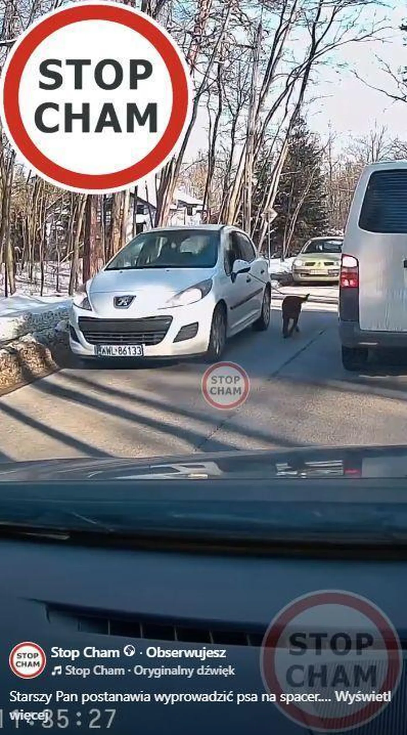 Dziadu....za to prowadzenie psa powinni ci go zabrać,wszystko w porządku z głową?