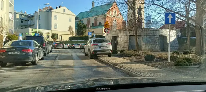 Święta krowa ? chodnikowa