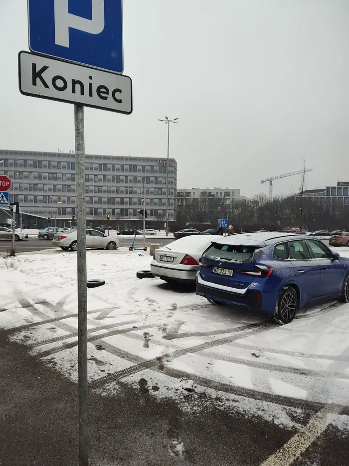 Gamoń codziennie parkuje na trawie. Marka zobowiązuje malutki rozumek.