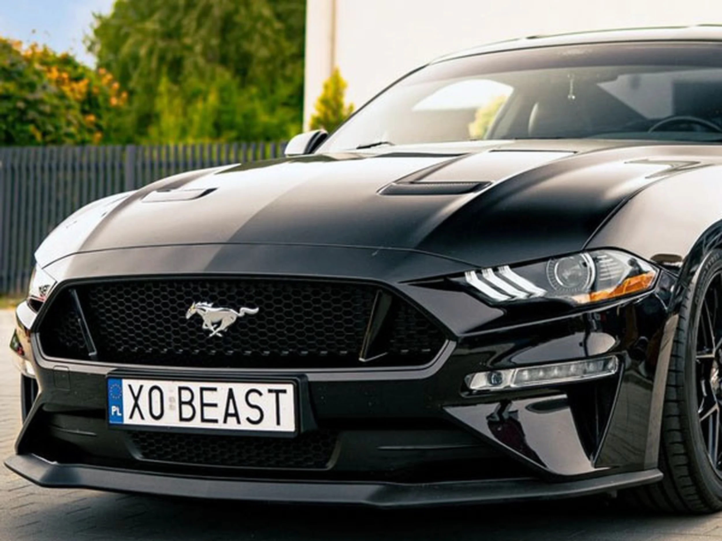 Fajny numer, blacha X0 BEAST