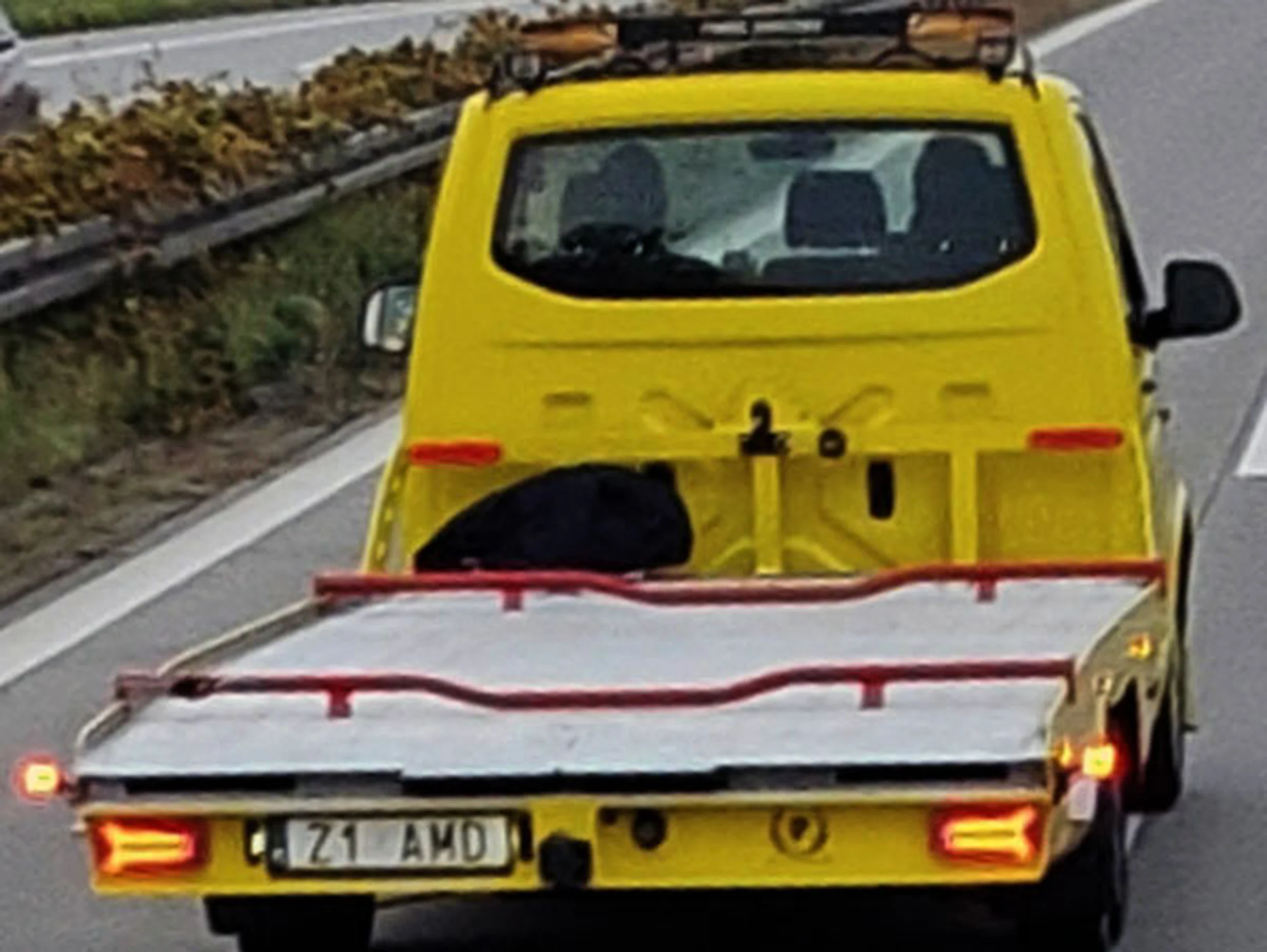 Fajny numer, blacha Z1 AMD