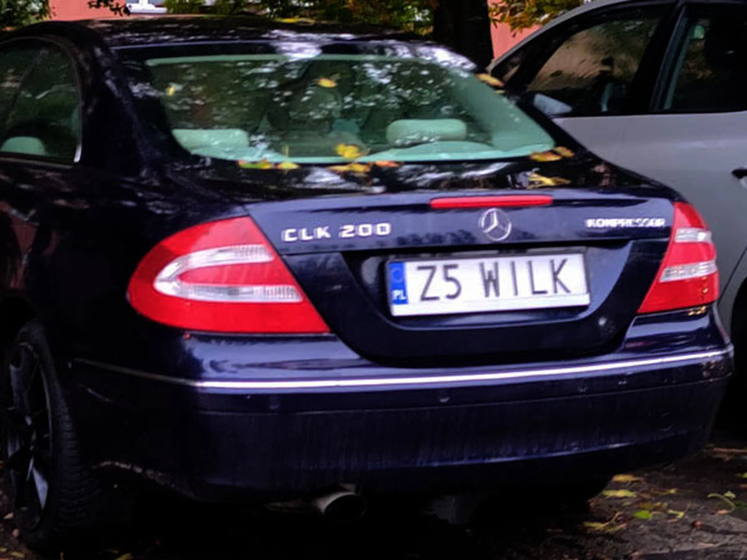 Fajny numer, blacha Z5 WILK