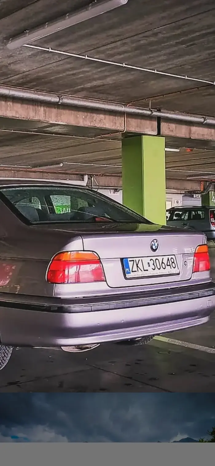 Dobra morda, polecanko