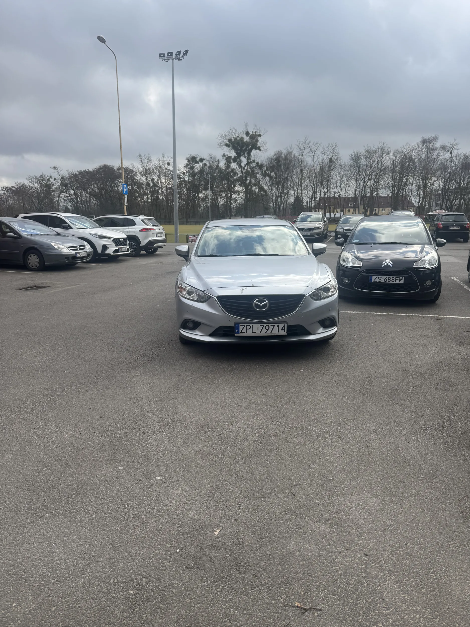 nienormalne zachowanie i hańba tragiczny umysł tego kierowcy