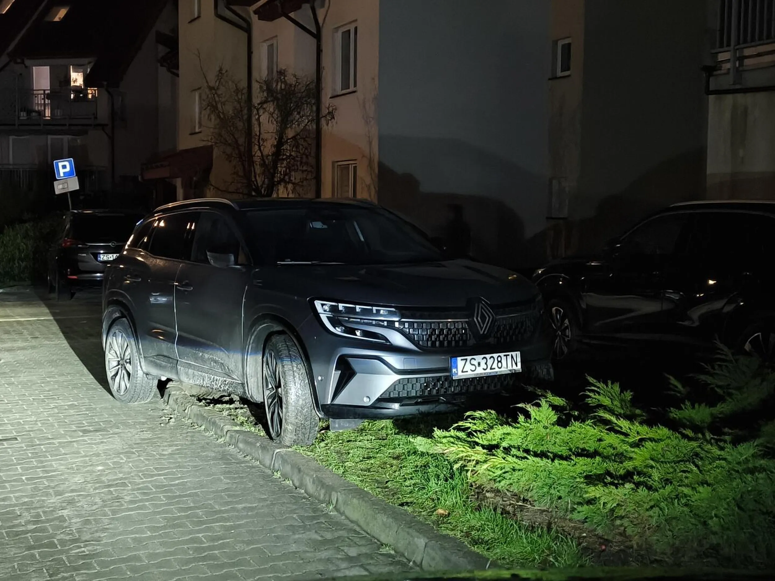 Mistrz parkowania z deficytem intelektualnym.