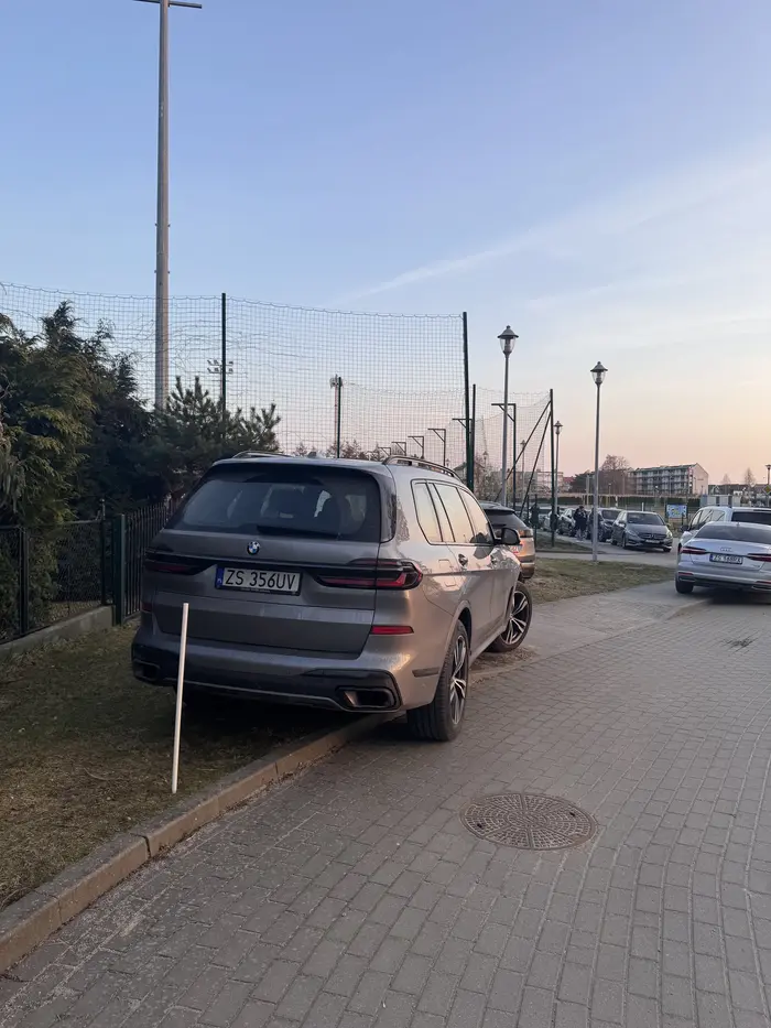 Parkowanie na pasie zieleni, a obok zaraz parking. :))